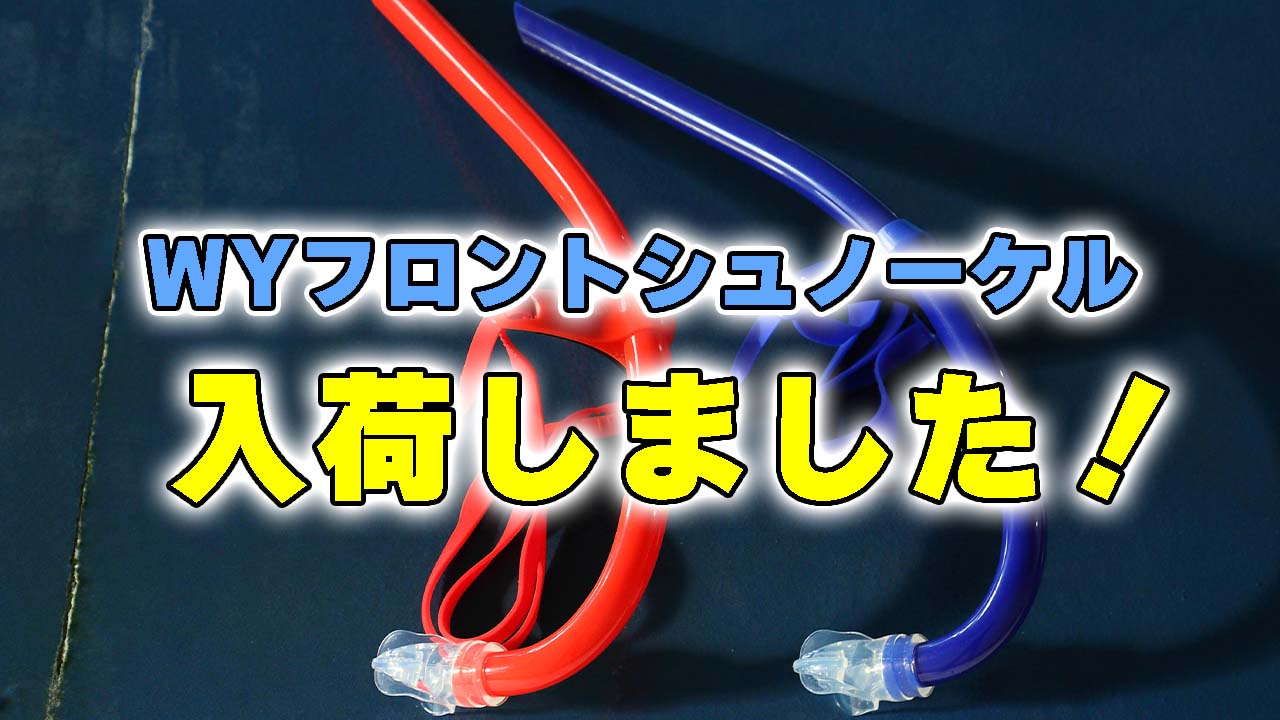 WYシュノーケル入荷しました!お待たせしました!